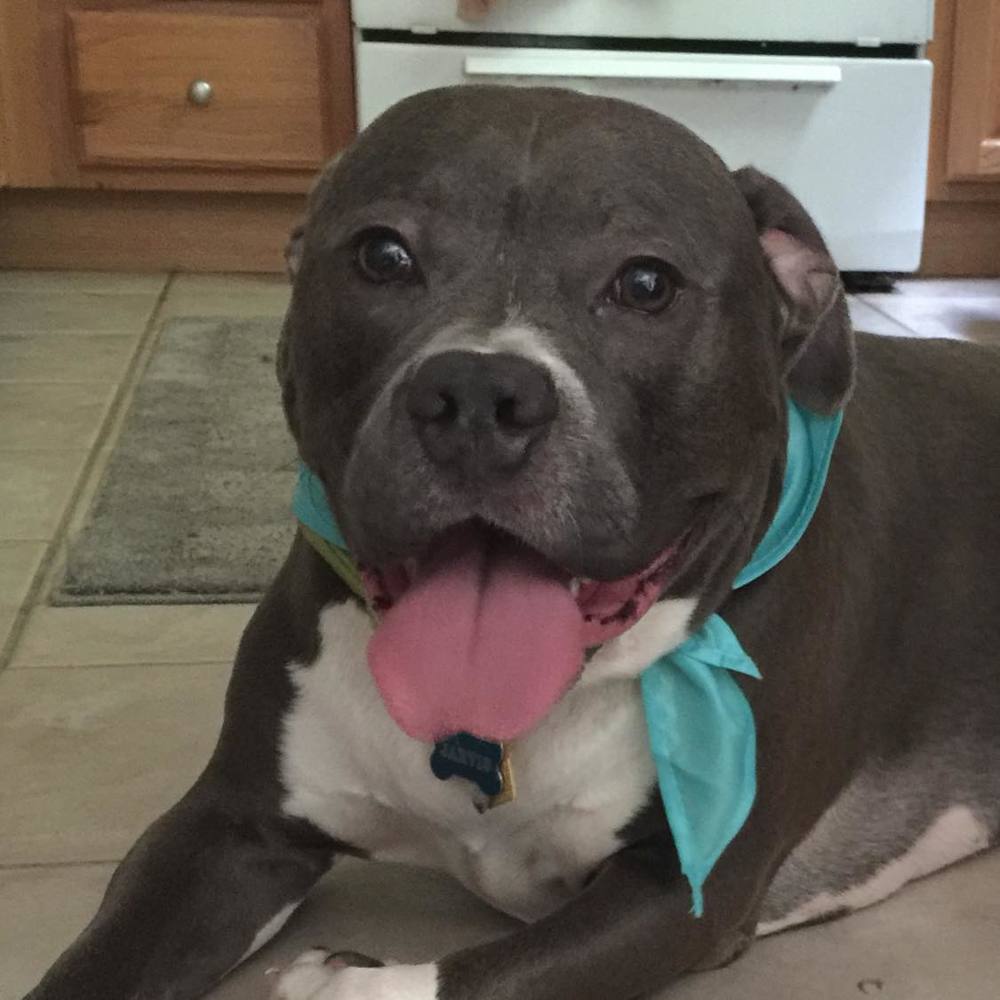 Meet your Posher, Jenn